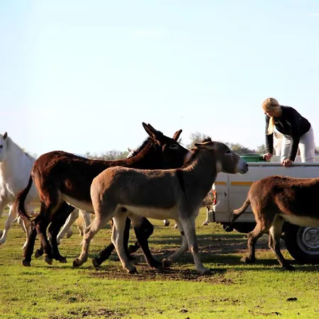 Primavera 2-1 * Lido di Pomposa
