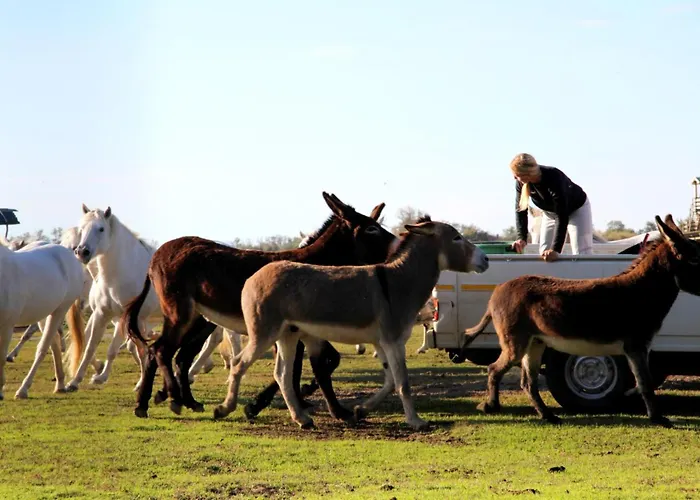 Primavera 2-1 * Lido di Pomposa
